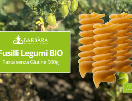 Fusilli Legumi Bio Pasta senza Glutine 500g Una ricchissima fonte di proteine, vitamine e sali minerali. I Fusilli di Legumi sono una pasta biologica 100% senza glutine,..